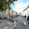 Der Baum auf der Marktstätte, eine Eiche (links), soll in diesem Jahr noch Gesellschaft von vier weiteren Bäumen bekommen. Es werde ...