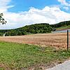 In die Erschließung des neuen Baugebiets in Dillendorf investiert die Stadt 350.000 Euro.