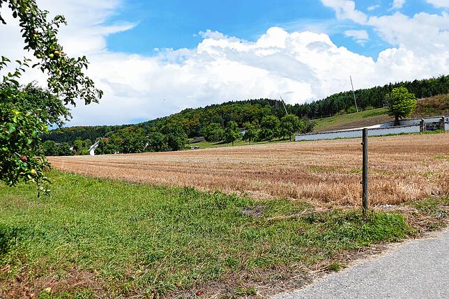 In die Erschließung des neuen Baugebiets in Dillendorf investiert die Stadt 350.000 Euro.