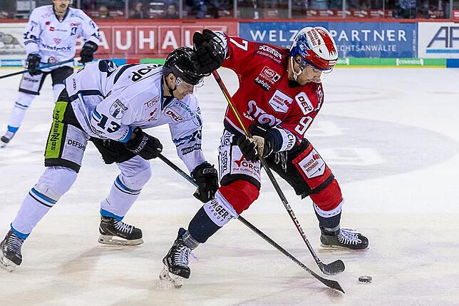 Bild 1: Die Wild Wings siegen wieder in der Deutschen Eishockey-Liga