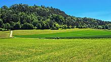 Als Standort für den Waldkindergarten war Hilzingens kleiner Hausberg Plören vorgesehen. Nun wird die Fläche doch nicht genutzt werden.