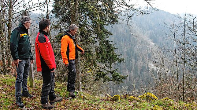 Ein Paradies für Flora und Fauna: Robert Becker (rechts), daneben Maximilian Bumiller und Christian Müller (links), zeigt auf die ...