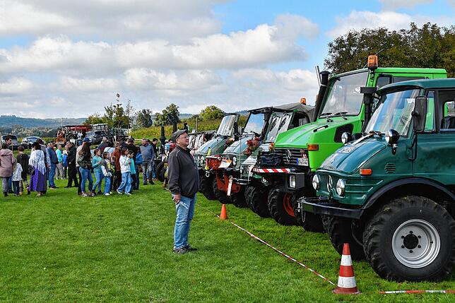 Bild 21: Oldtimer, Schlachtplatte, Musik: So war das Herbstfest in Orsingen