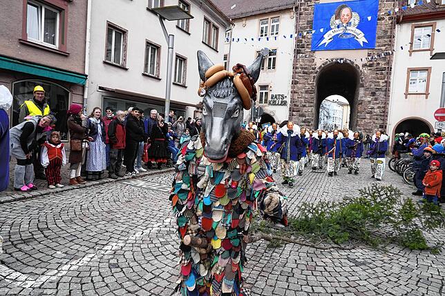 Der Butzesel und seine Trieber dürfen beim Maschgerelauf natürlich nicht fehlen.