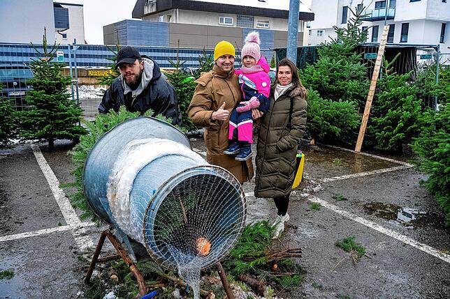 Victor und Victoria Frecantanu mit Tochter Melania beim Weihnachtsbaumkauf in der Vockenhauser Straße. Pascal Belger packt ihnen die ...