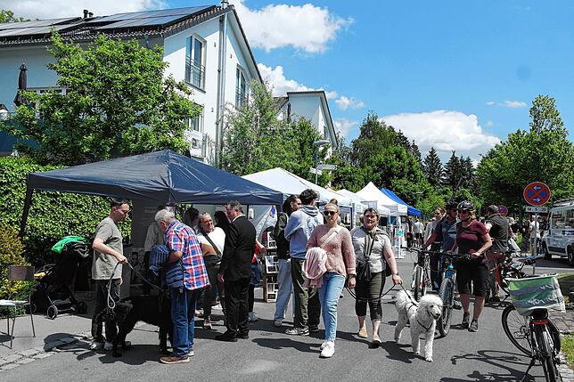 Bild 5: Bilder vom Fest der Betriebsamkeit in Friedrichshafen-Kluftern