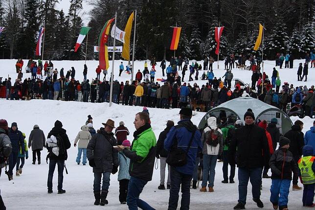 Bild 4: Das Internationale Schlittenhunderennen in Todtmoos 2019 in Bildern
