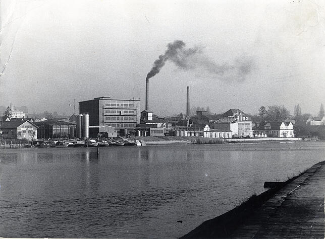 Als die Wirtschaft in Konstanz von noch großen Firmen dominiert wurde: Eine Aufnahme aus den 1980er Jahren von der rechtsrheinischen ...