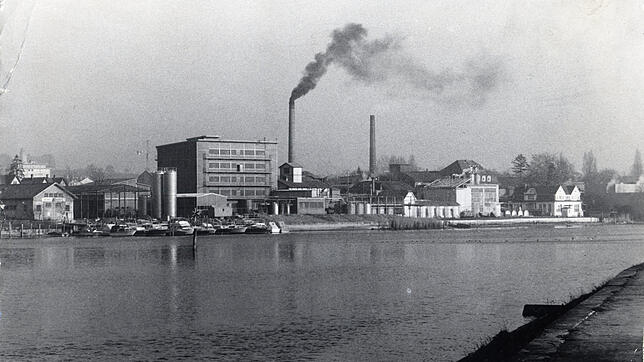 Als die Wirtschaft in Konstanz von noch großen Firmen dominiert wurde: Eine Aufnahme aus den 1980er Jahren von der rechtsrheinischen ...