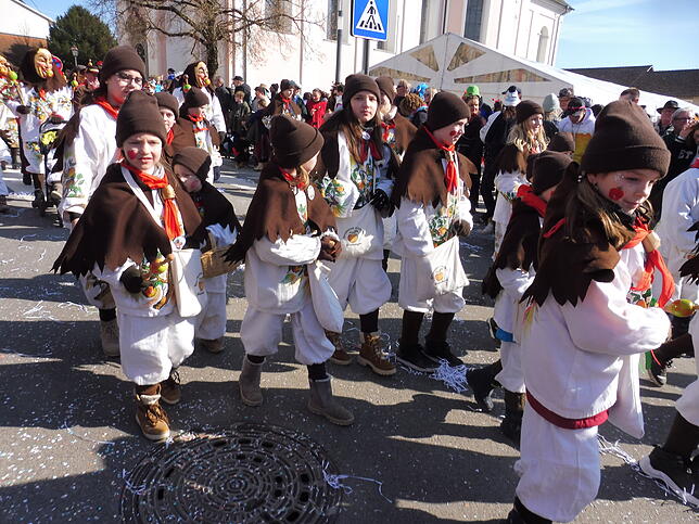 Bild 7: Fasnet-Sunntig-Umzug 2025 in Hilzingen: Farbenfrohes Treiben