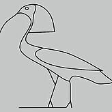 Die Akh-Hieroglyphe zeigt vermutlich einen Waldrapp. Im alten Ägypten gilt er als Lichtbringer.