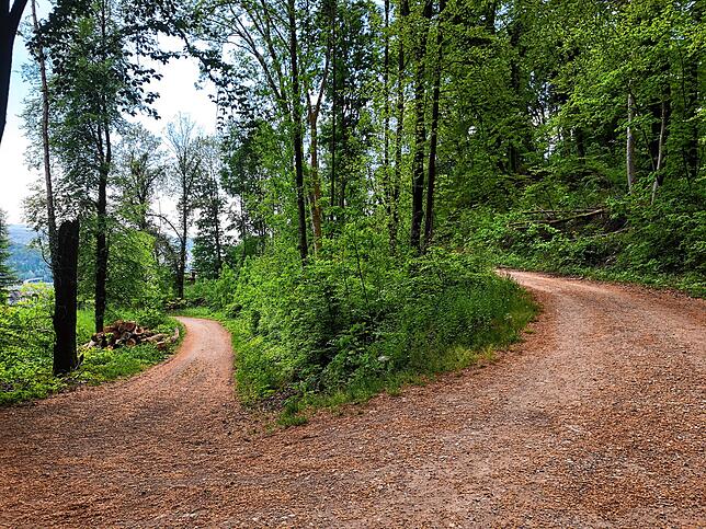Bild 7: Wandern vor der Haustür (Teil 1): Durch den Bärlauchwald zum Waldshuter Lindenbuck