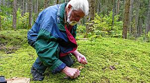 Albert Ross aus Bonndorf ist staatlich anerkannter Pilzexperte und erklärt, wie dieses Jahr die Pilzsaison ausfällt.