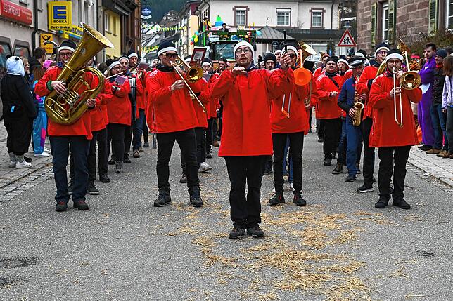 Bild 27: Großer Umzug in Tennenbronn mit 20 Musik- und Narrengruppen