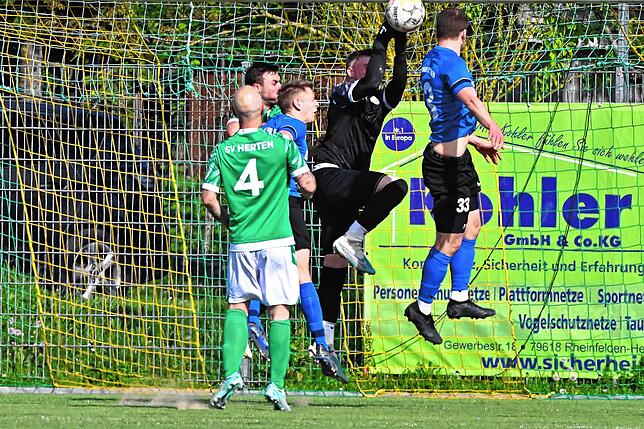 Bild 33: SG Mettingen/Krenkingen holt sich ein 2:2 beim SV Herten – und wir haben Bilder!