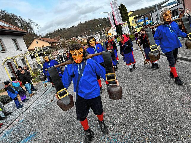 Bild 45: Spaß beim VHN-Narrentreffen: Bilder vom Umzug (1)
