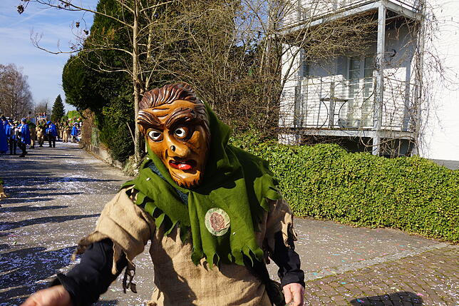Bild 21: 43. Küssaberger Narrentreffen: Märchenhafte Fasnacht in Rheinheim