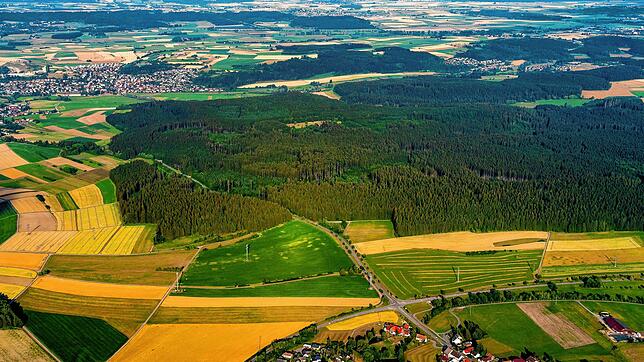 Der Weißwald auf der Gemarkung Brigachtal: Vor allem die Tannheimer Nachsorgeklinik wehrt sich gegen den potentiellen Standort für einen ...