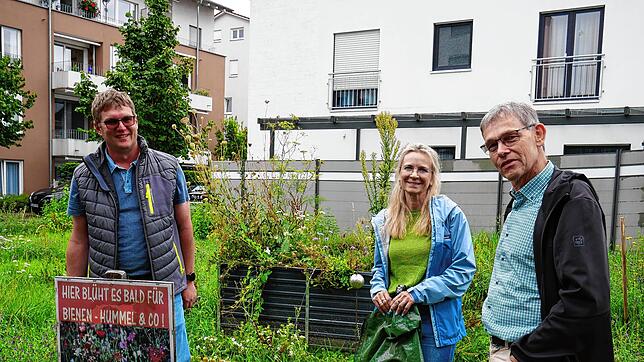 Klaus Strittmatter, Ulrike Huber und Ralf Däubler (von links) während eines Pressegesprächs auf der Naturwiese im Baugebiet Rhein-Au. ...
