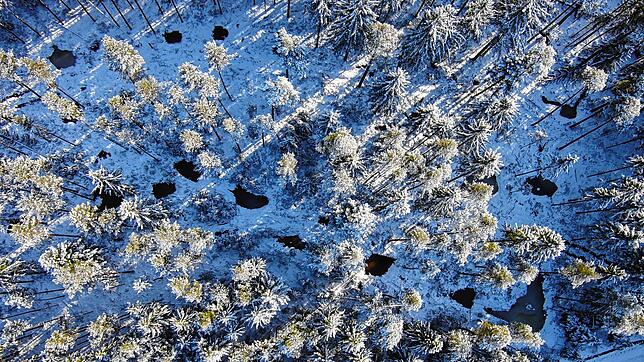 Wie an einer Perlenschnur gezogen reihen sich, hier als dunkle Flächen im Schnee sichtbar, die im Jahr 2021 angelegten Biotope entlang ...