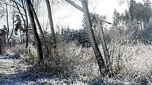 Winterstimmung in Münchingen.