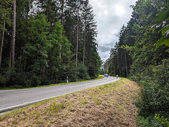 Die Verbindungsstraße von Kappel nach Villingen. Hier müssen Radler auf der Straße fahren. Das soll sich ändern.