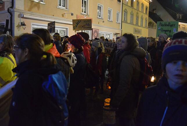 Bild 2: Bilder von der zweiten Klima-Demo in der Markdorfer Innenstadt