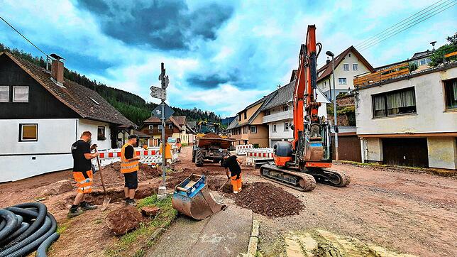 Die Bauarbeiten am ersten Sanierungsabschnitt der Ortsdurchfahrt Hammereisenbach schreiten voran. Störend sind immer wieder Autofahrer, ...