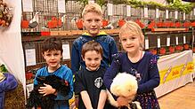 Bereits im Kindesalter beschäftigen sich Jungzüchter mit der Aufzucht von Geflügel. Im Bild von links Adrian Nock mit Strupphuhn ...