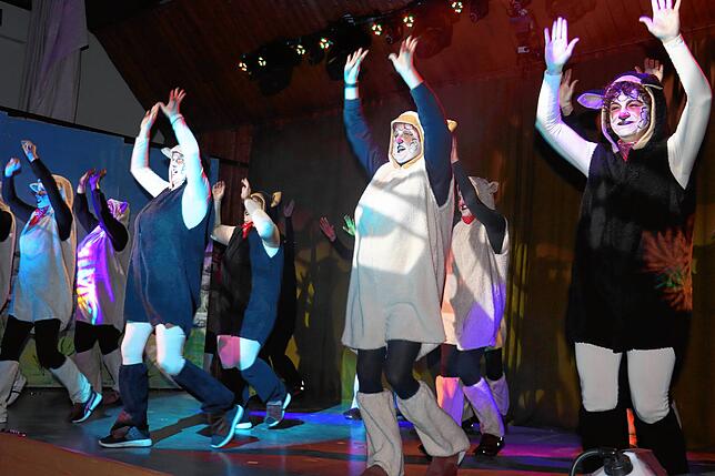 Bild 14: Bunter Abend der Stahringer Schoofwäscherzunft: Ein unvergessliches Show-Erlebnis in der Homburghalle