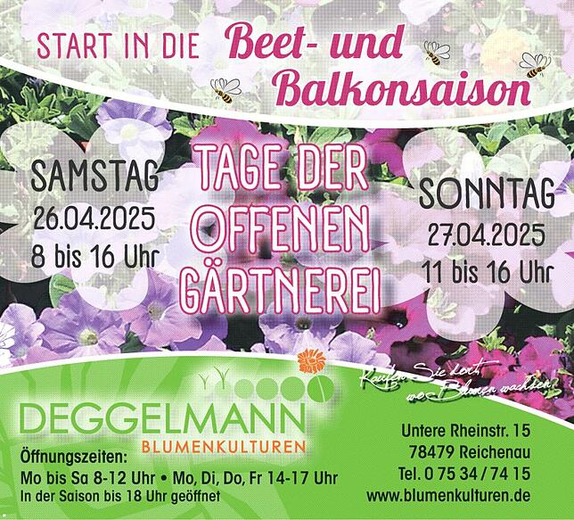 Bild 5: 30 Jahre Gemüsepavillon Reichenau: Morgens auf dem Feld, mittags im Laden