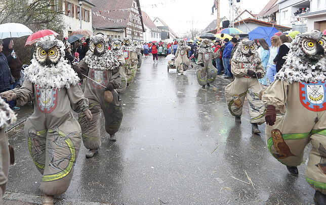 Bild 8: Bilder zum großen Narrentreffen in Pfohren (1)