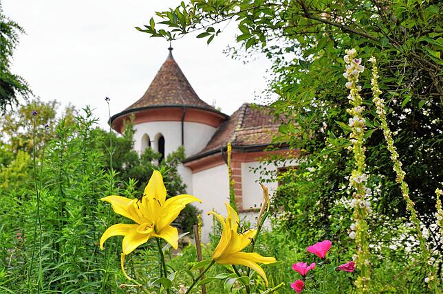 Bild 24: Bilder vom Tag der Offenen Tür auf Schloss Hohenfels