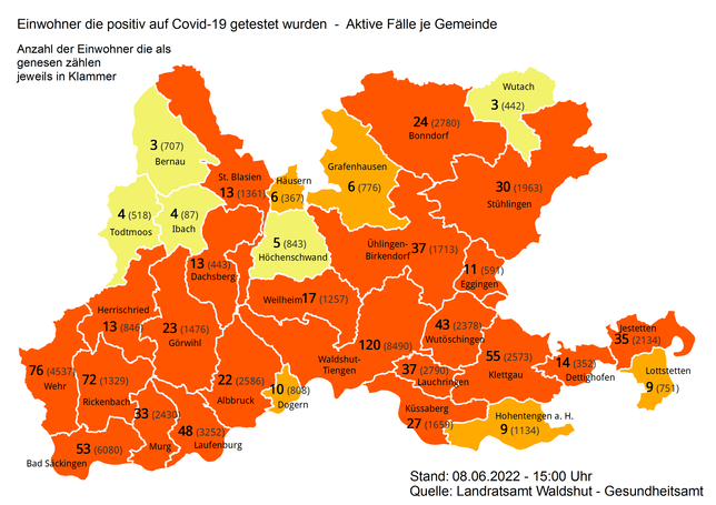 Im Landkreis Waldshut gibt es, Stand 8. Juni, 875 aktive Corona-Infektionen.