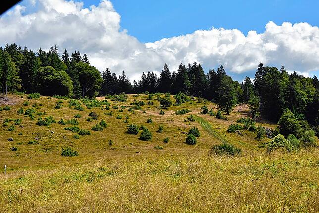 Idylische Landschaften im Ibacher Hochtal laden zu Wanderungen ein.