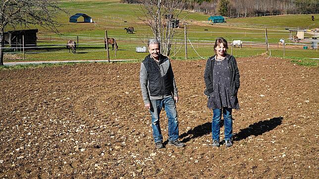 Gerhard Weber und seine Frau Gabi betreiben den Berghof auf der Tengener Höhe. Neben dem Bioland-Hof mit Pferdepension, hier an dieser ...
