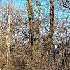 Einen schwierigen Einsatz hatte die Bergwacht Wutach am Palmsonntag, als ein Fotograf von einem Baum 30 Meter tief in die Wutachschlucht ...