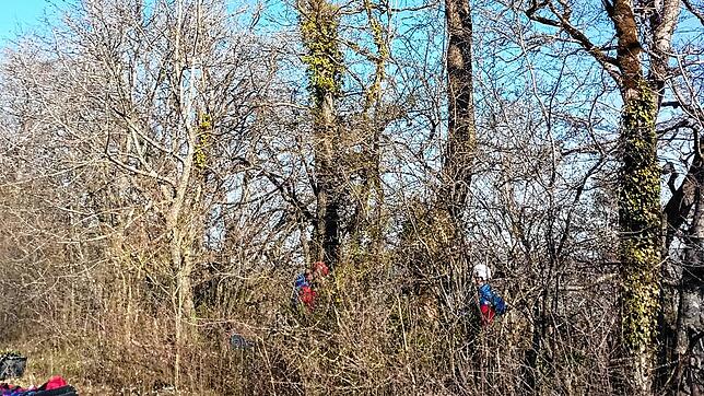Einen schwierigen Einsatz hatte die Bergwacht Wutach am Palmsonntag, als ein Fotograf von einem Baum 30 Meter tief in die Wutachschlucht ...