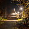 Noch brennt Licht im Lorettowald: Die Fontainebleauallee im Konstanzer ist morgens und abends beleuchtet. Jogger und Hundehalter sind ...