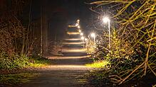 Noch brennt Licht im Lorettowald: Die Fontainebleauallee im Konstanzer ist morgens und abends beleuchtet. Jogger und Hundehalter sind ...