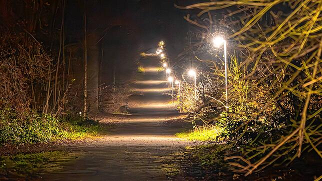 Noch brennt Licht im Lorettowald: Die Fontainebleauallee im Konstanzer ist morgens und abends beleuchtet. Jogger und Hundehalter sind ...