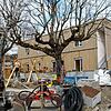 Der Kindergarten St. Michael in Ludwigshafen kommt gut voran, aktuell wird bereits die Außenanlage gestaltet. Die Gemeinde leistet einen ...