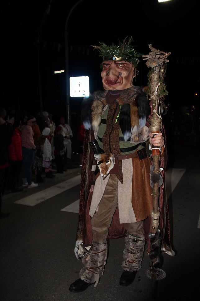 Bild 16: Bilder vom Nachtumzug zum 44. Jubiläum der Narrenzunft Hochemmingen