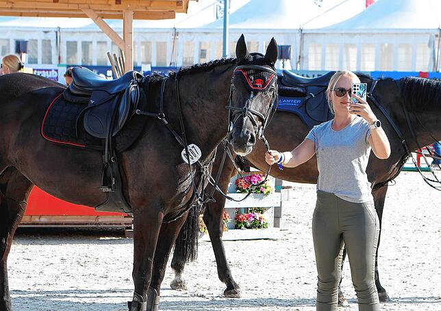 Bild 12: Reitsport pur beim Fest der Pferde am Freitag