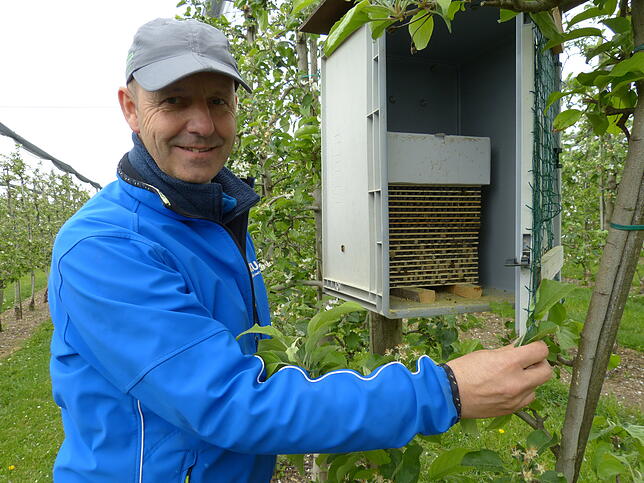Erich Röhrenbach ist stolz auf seine Wildbienen.