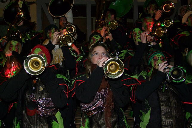 Bild 12: Bilder vom Klettgaunarrentreffen der Narrenzunft Bohnenviertel in Hohentengen a.H. am Samstag, 8. Februar