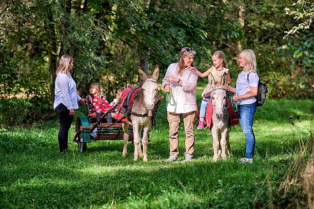 Mit Eseln des Esel- und Schafhofs aus Sauldorf-Boll kann man am Sonntag, 11. Mai, um 13 Uhr, ab dem Bahnhof Meßkirch.
