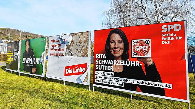 In der Waldshuter Liedermatte stehen mehrere großformatige Wahlplakate verschiedener Parteien nebeneinander. Einige davon sind beschädigt.