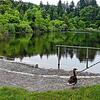 Badegäste dürfen sich zum Start der Badesaison auf einen verbesserten Einstieg in den beliebten Buchensee freuen.