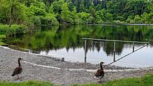 Badegäste dürfen sich zum Start der Badesaison auf einen verbesserten Einstieg in den beliebten Buchensee freuen.